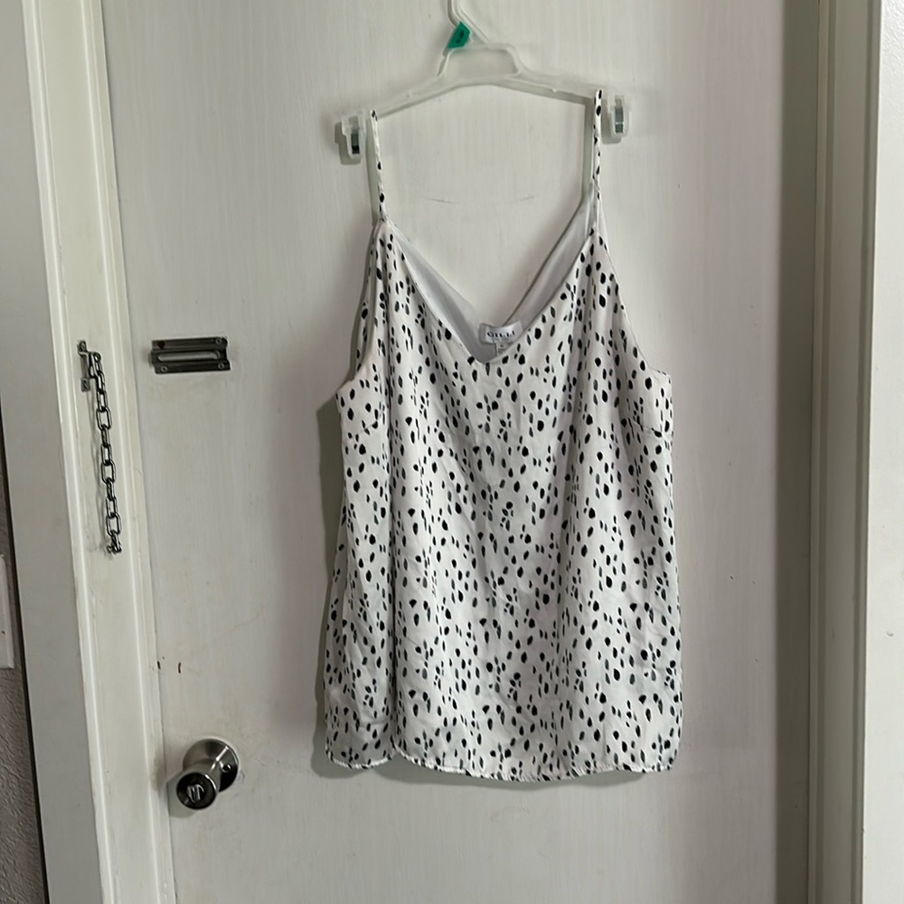 Gilli Swing Tank